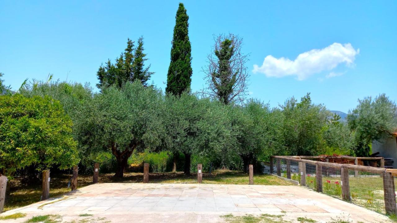 הוילה ואסיליקי Platanos מראה חיצוני תמונה